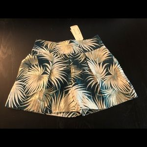 Nicole Miller Glam Shorts!